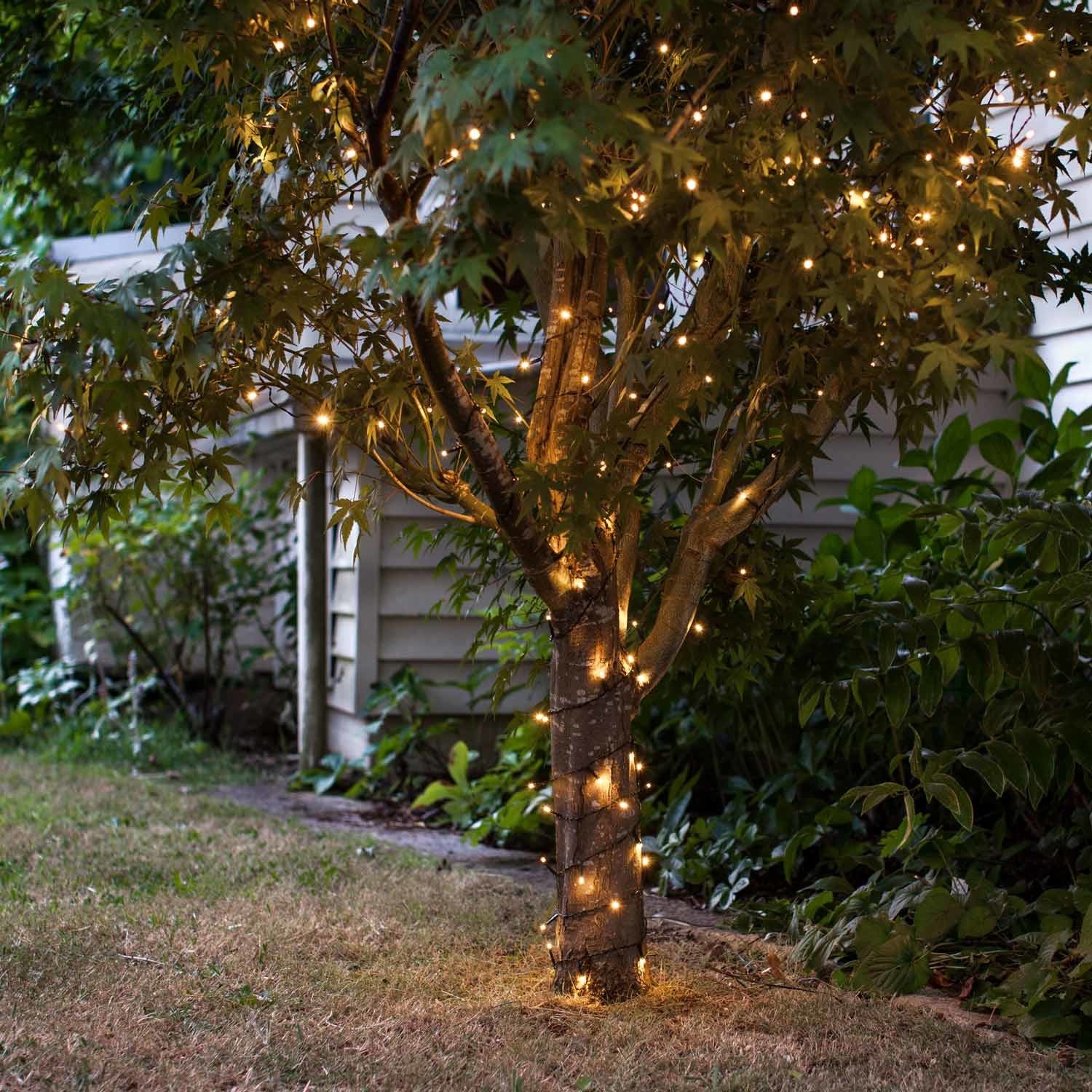 100 Warm White LED Outdoor Battery Fairy Lights On Green Cable - Image 5