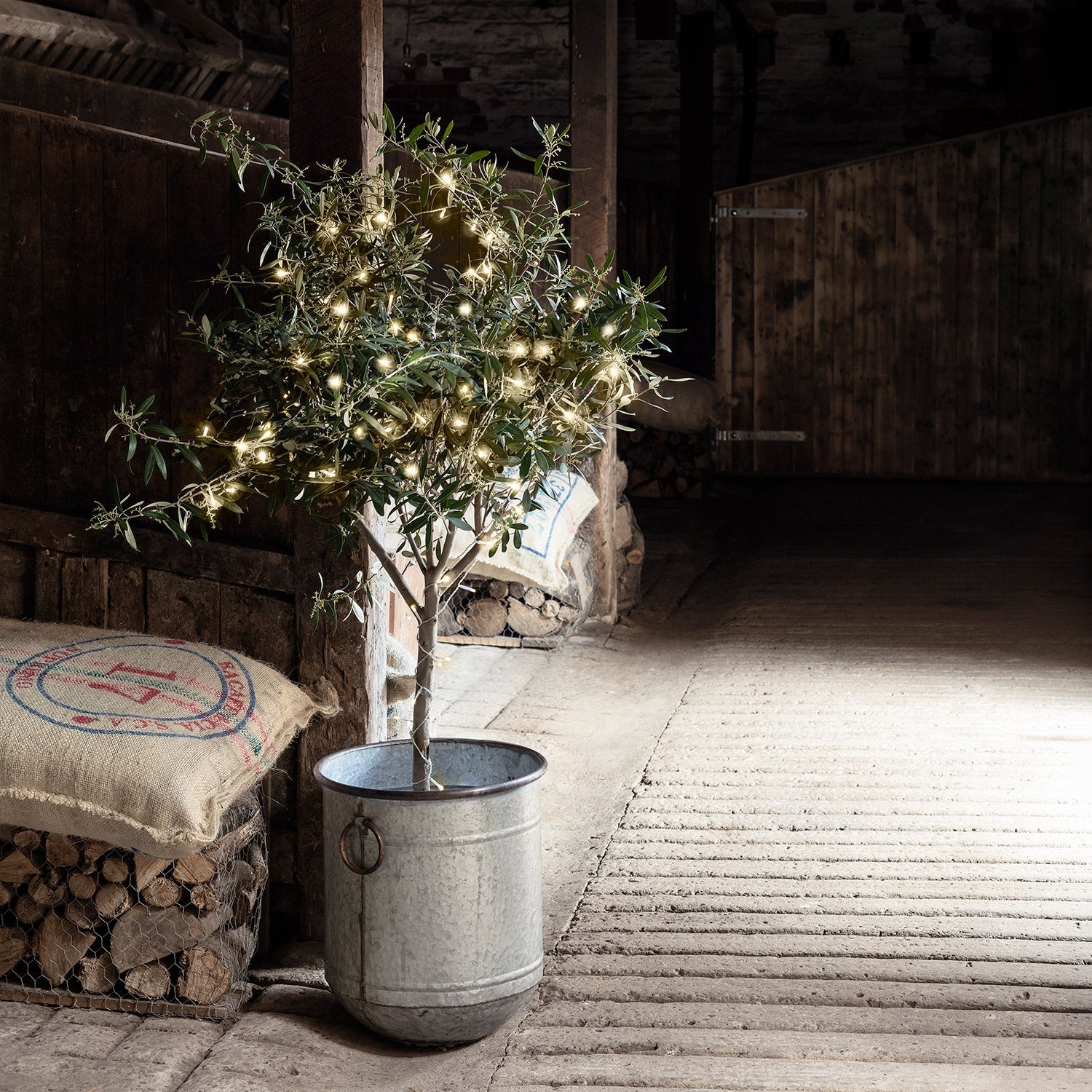 50 Warm White LED Outdoor Battery Fairy Lights On Clear Cable