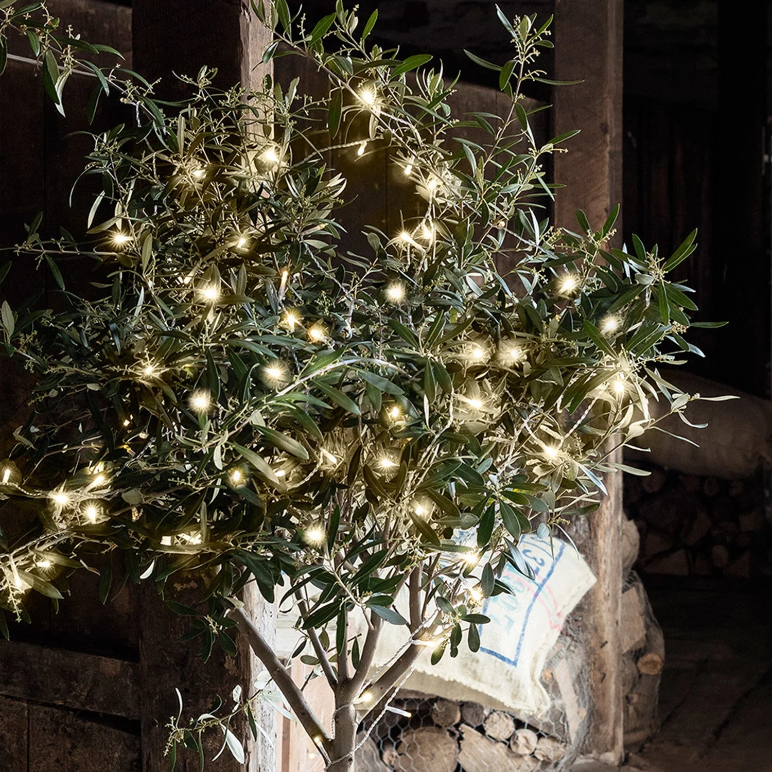 50 Warm White LED Outdoor Battery Fairy Lights On Clear Cable - Image 3