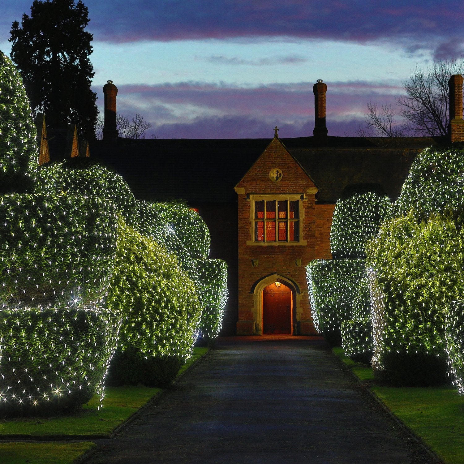 Core Connect 6m x 2m 420 White Connectable Net Lights Green Cable