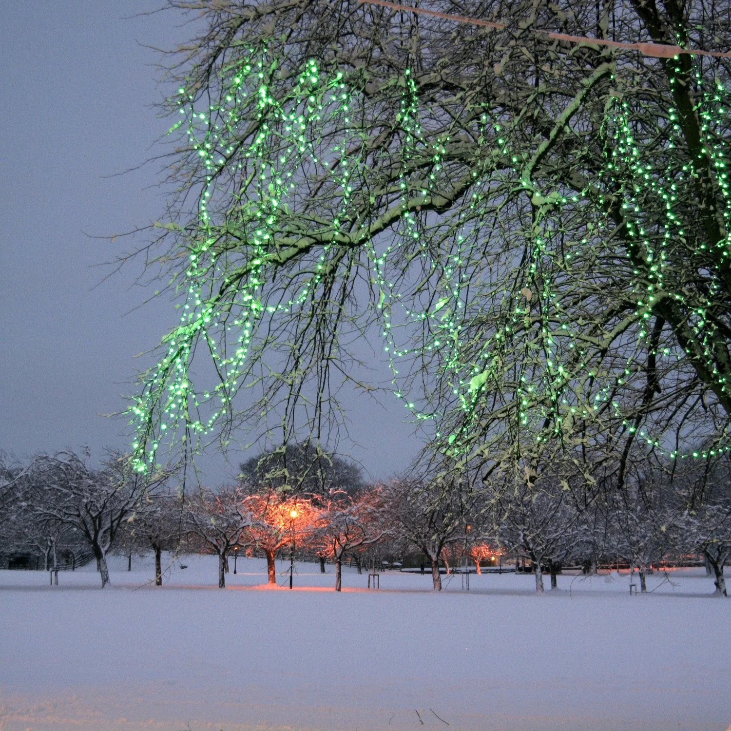 Core Connect 70m 700 Green Connectable Fairy Lights Clear Cable - Image 2