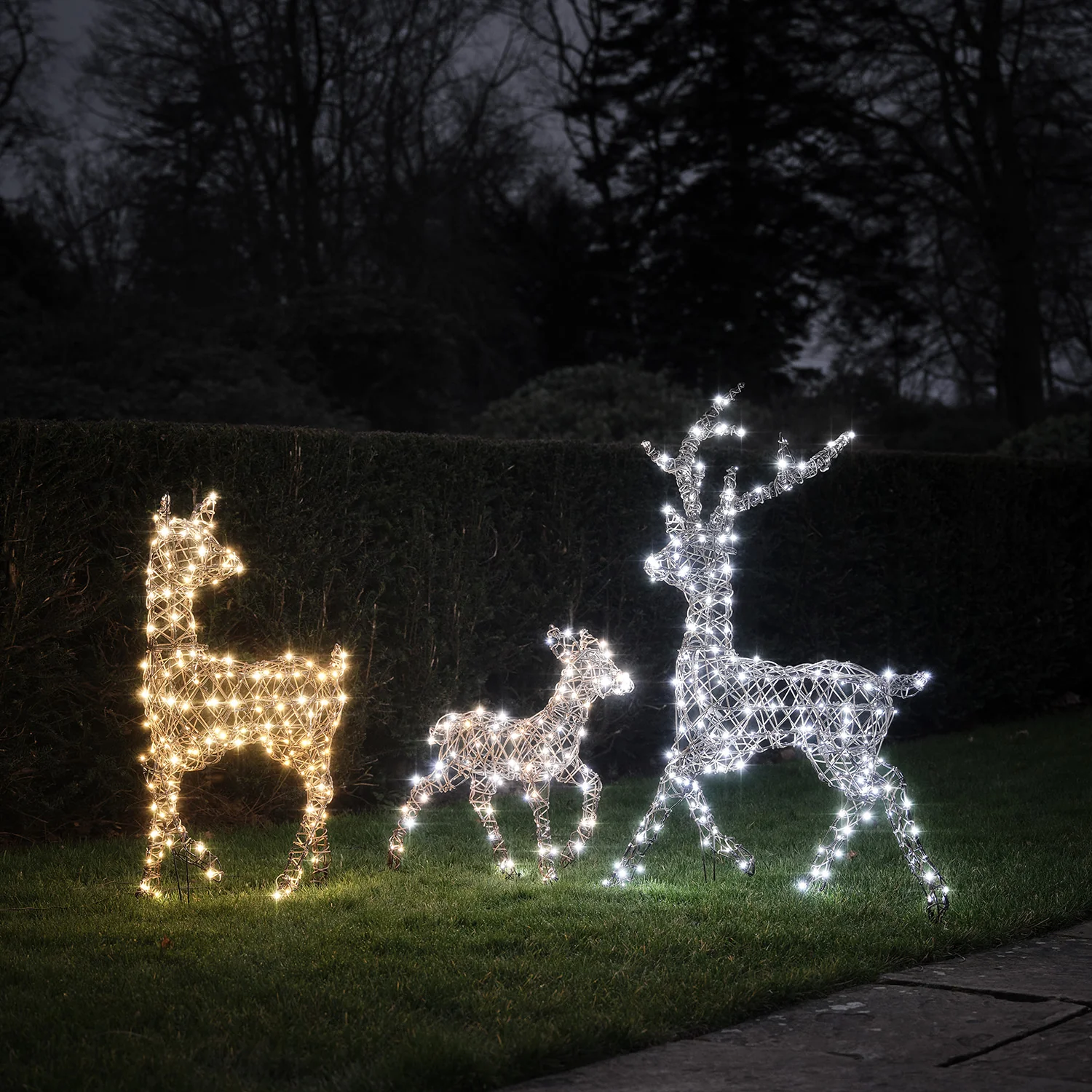 Dual LED Studley Light Up Reindeer Family - Image 4