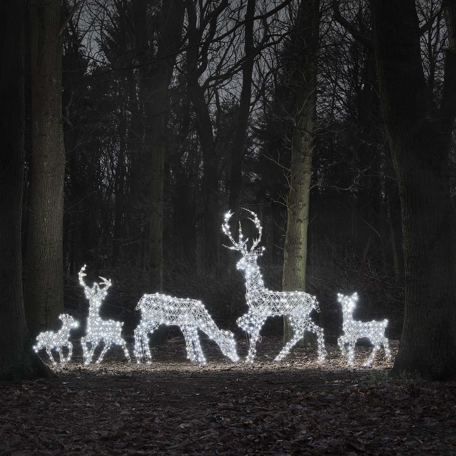 Dual LED Studley XL Light Up Reindeer Family - Image 3