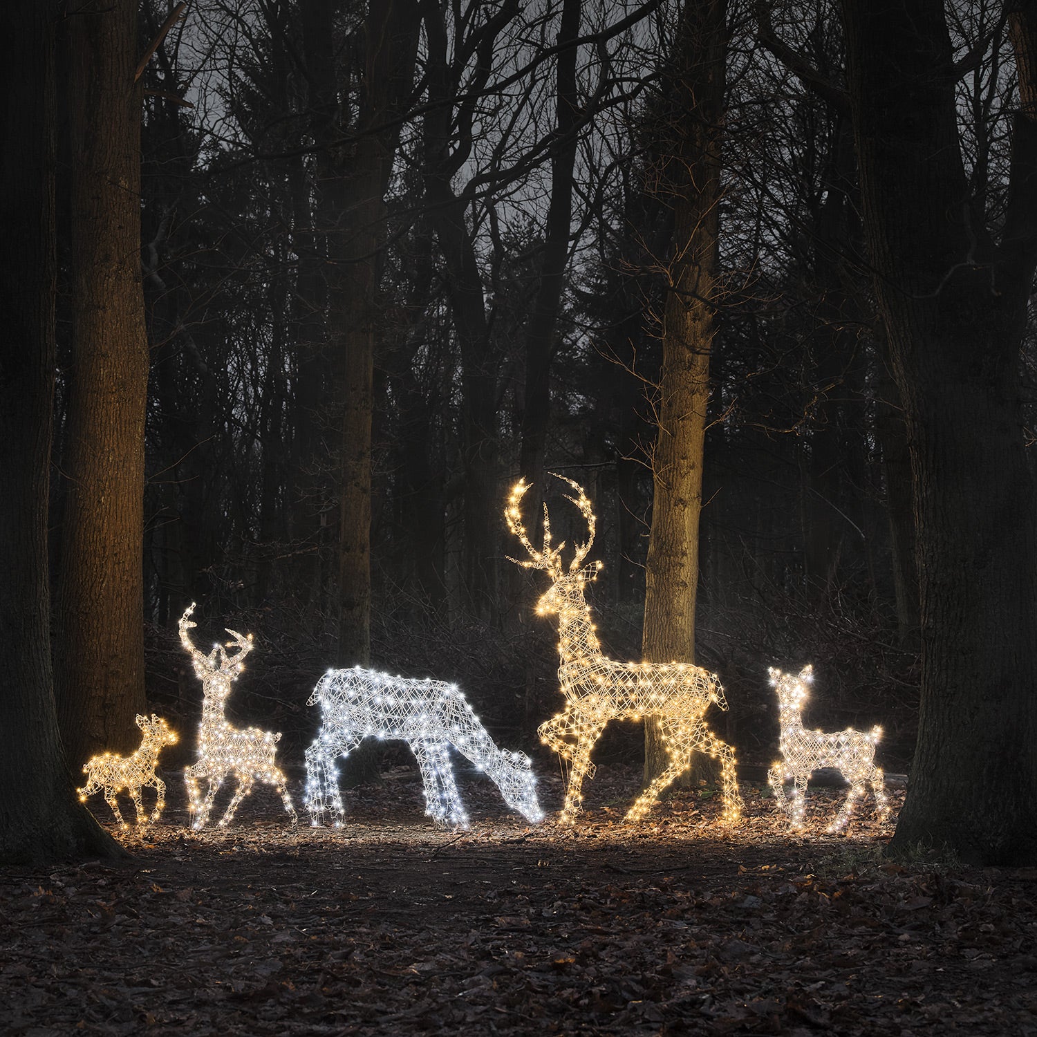 Dual LED Studley XL Light Up Reindeer Family - Image 4