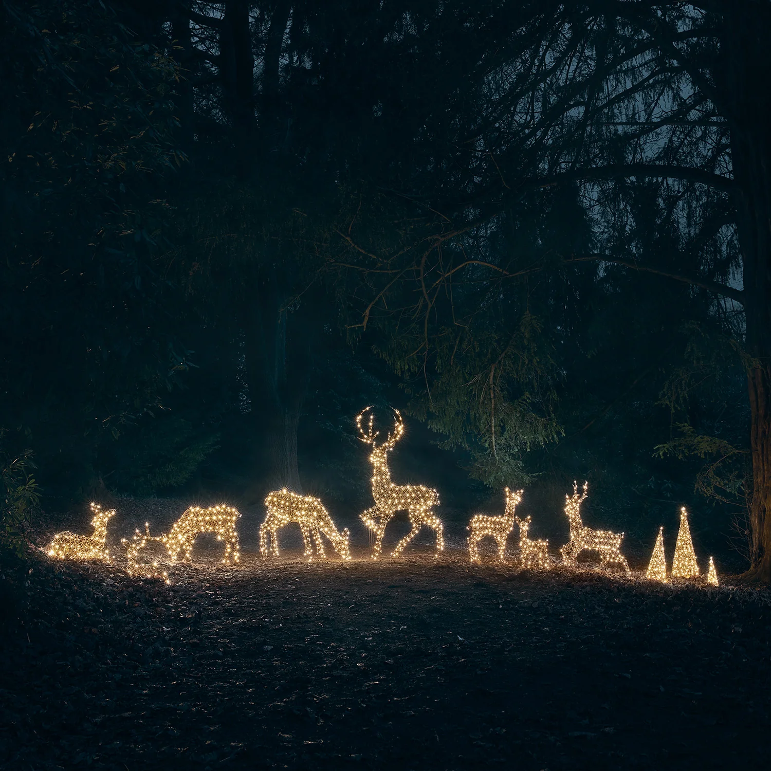 Studley Rattan Stag & Doe Light Up Reindeer Duo 24v - Image 3