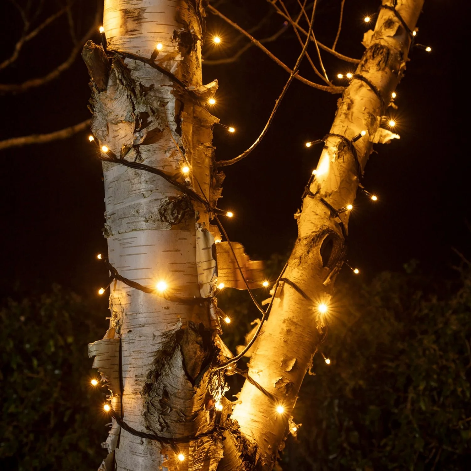 Plus Connect 25m 250 Traditional Warm White Connectable Fairy Lights Black Cable - Image 2