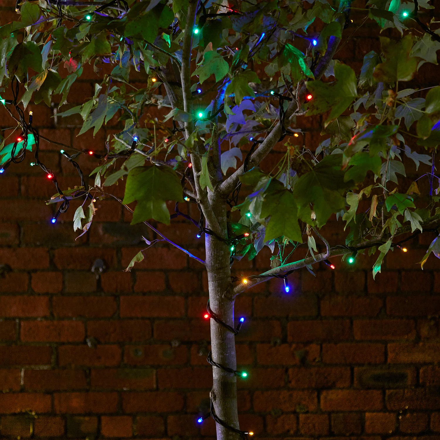 Plus Connect 70m 700 Multi Coloured Connectable Fairy Lights Black Cable - Image 5