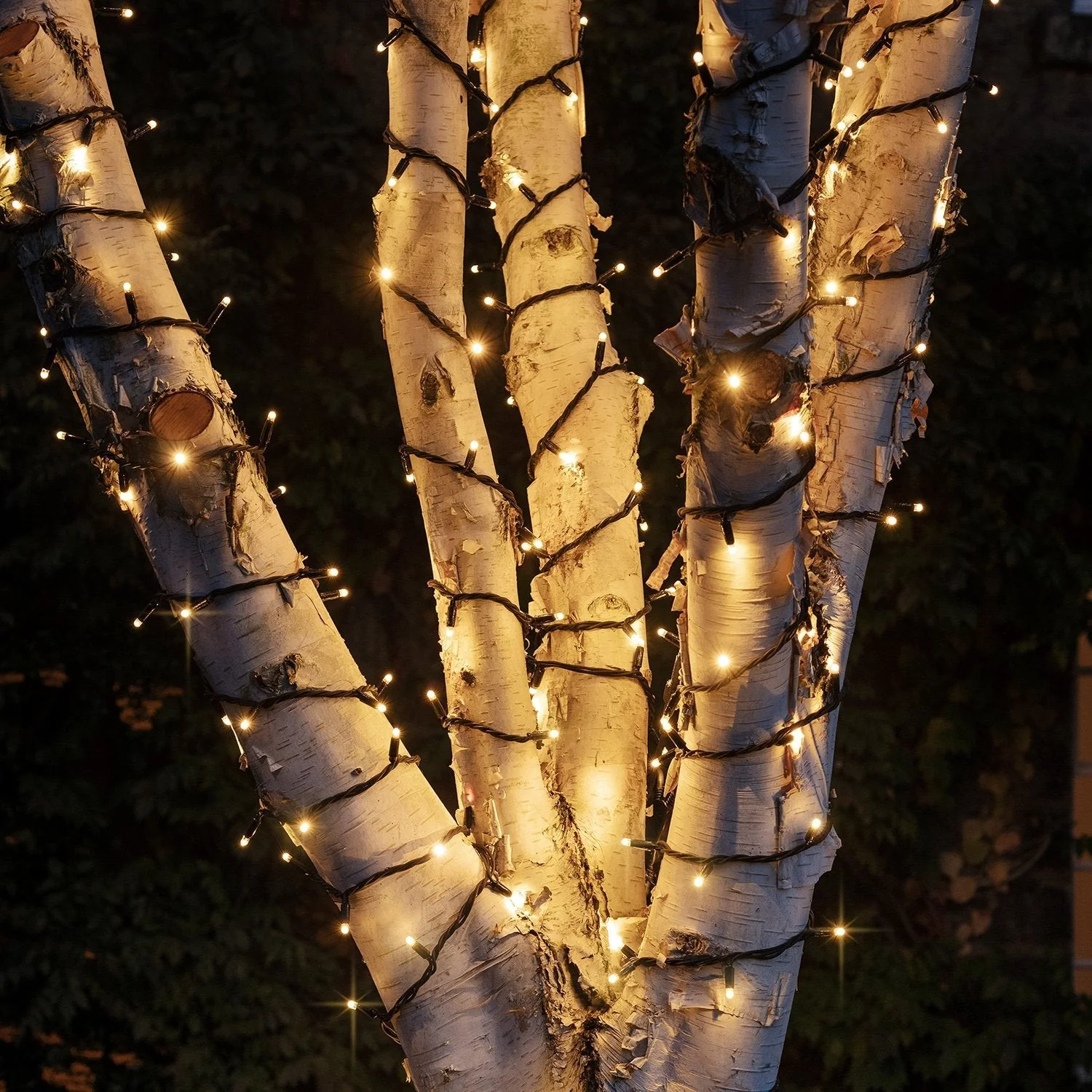 Pro Connect 100m 1000 Warm White Connectable String Lights Black Cable - Image 2