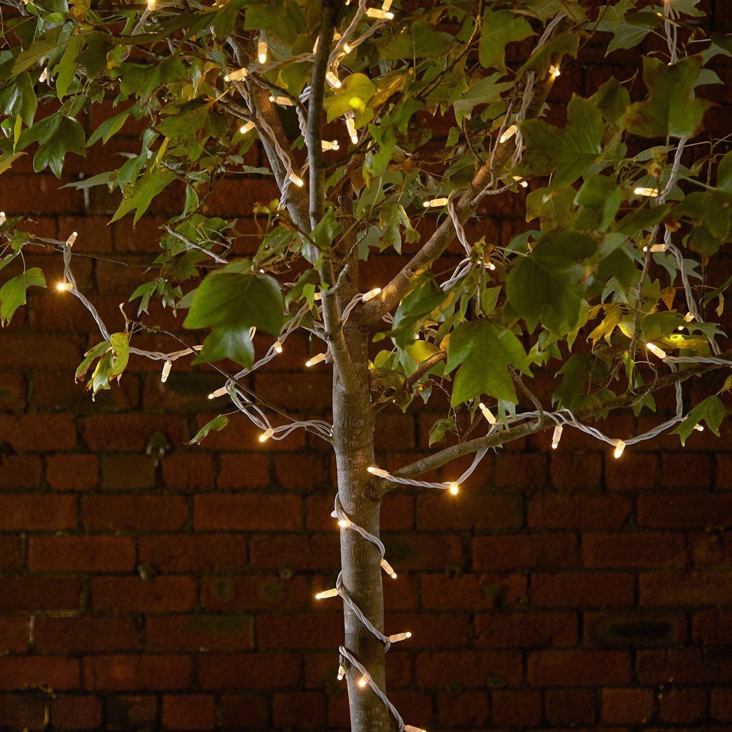 Pro Connect 195m 1950 Traditional Warm White Connectable String Lights White Cable