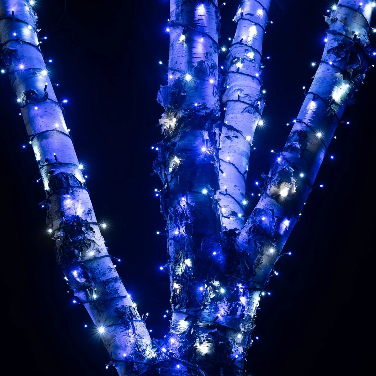 Pro Connect 25m 250 Blue & White Connectable String Lights Black Cable - Image 2
