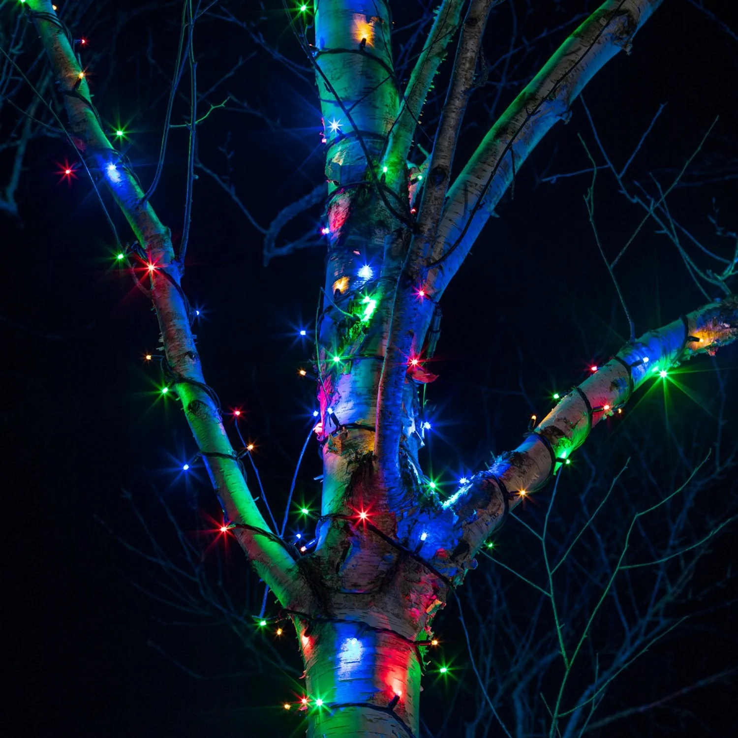 Pro Connect 55m 550 Multi Coloured Connectable String Lights Black Cable