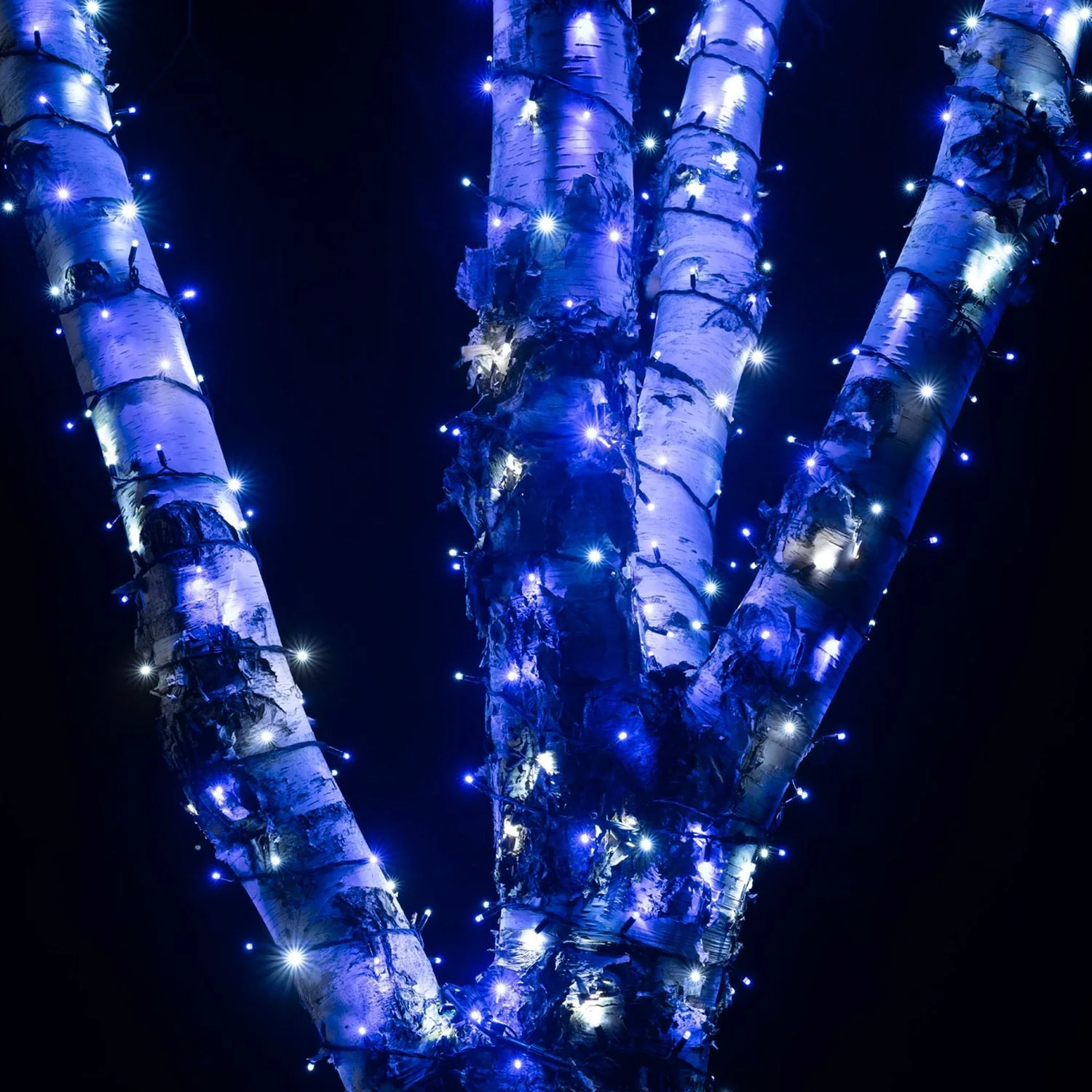 Pro Connect Blue & White Connectable String Lights Black Cable - Image 2