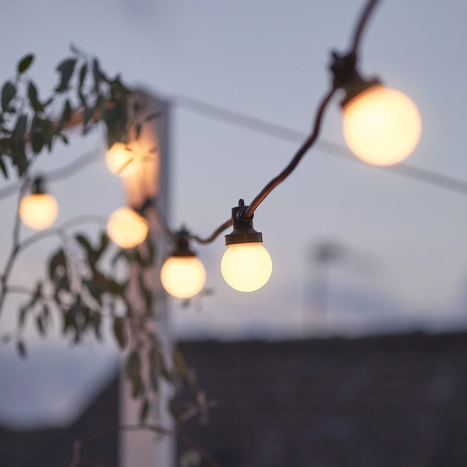 Pro Connect 80m 160 Warm White Connectable Festoon Lights Black Cable