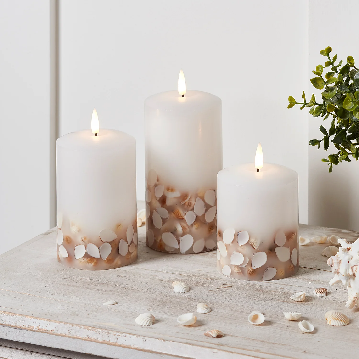 TruGlow® Shell LED Pillar Candle Trio with Remote Control