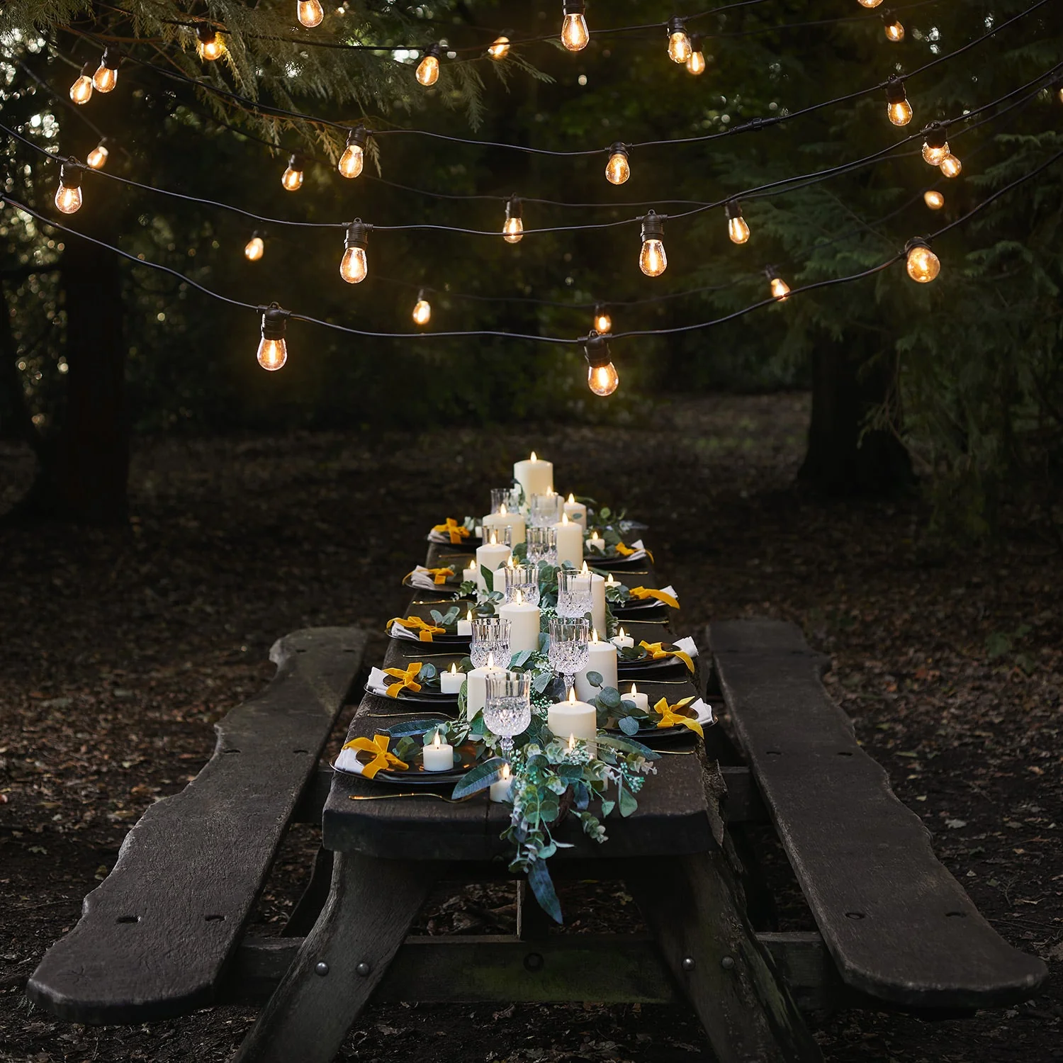 Ultimate Connect Warm White Festoon Lights Black Cable - Image 5